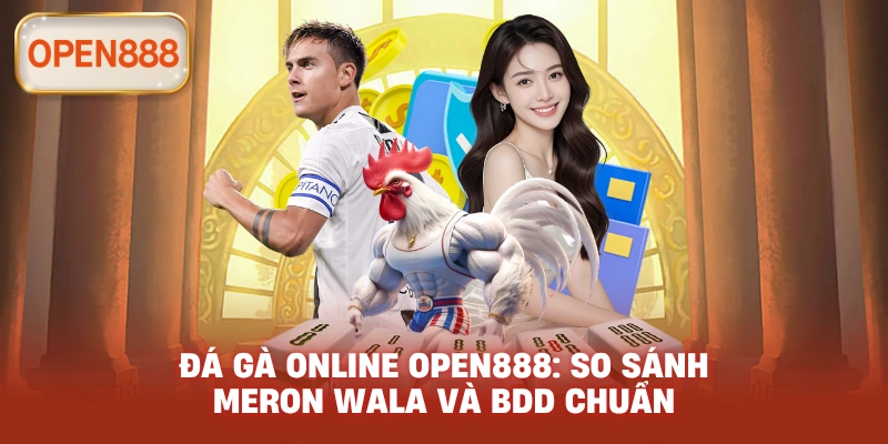 Đá gà online open888: So sánh Meron Wala và BDD chuẩn