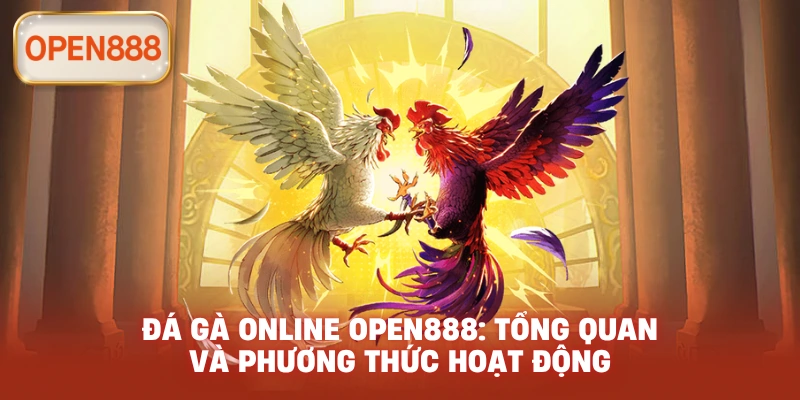 Đá gà online open888: Tổng quan và phương thức hoạt động