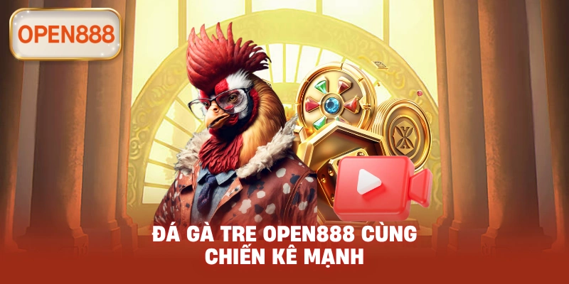 Đá gà tre open888 cùng chiến kê mạnh