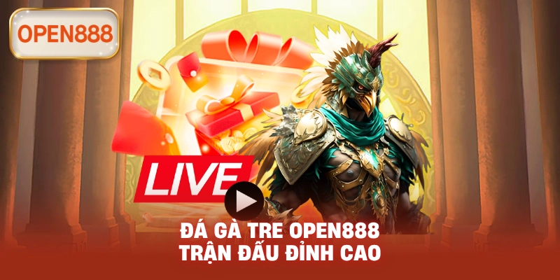 Đá gà tre open888 trận đấu đỉnh cao