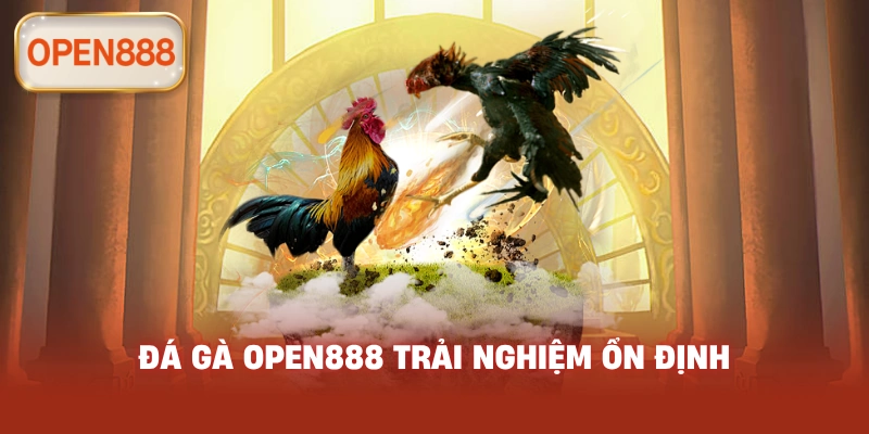 Đá gà open888 trải nghiệm ổn định