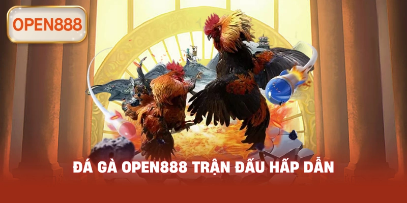 Đá gà open888 trận đấu hấp dẫn